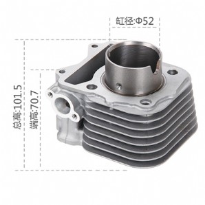 Motorcycle Cylinder Block, 新款海王星UA-T化油器版