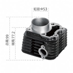 Motorcycle Cylinder BlockCT-100